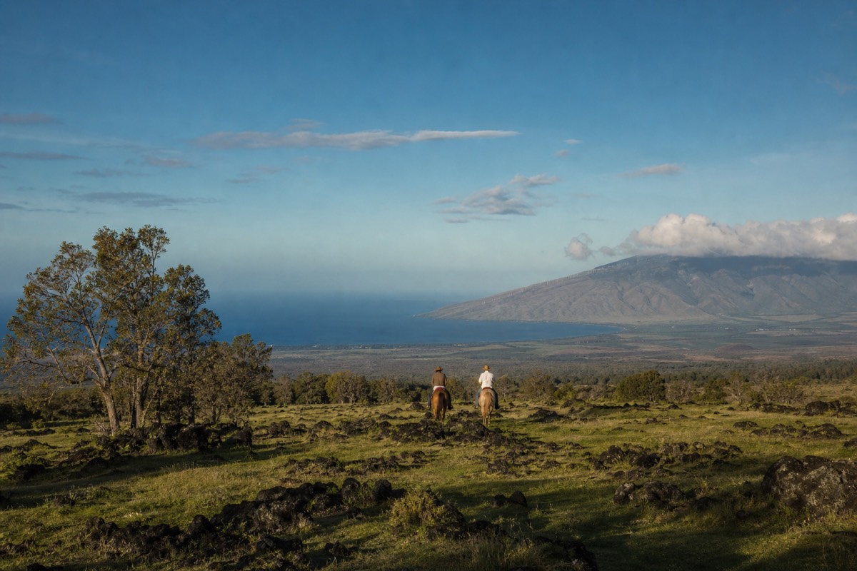 Kauai horseback tours