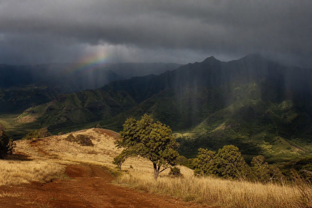 Kauai horseback tours