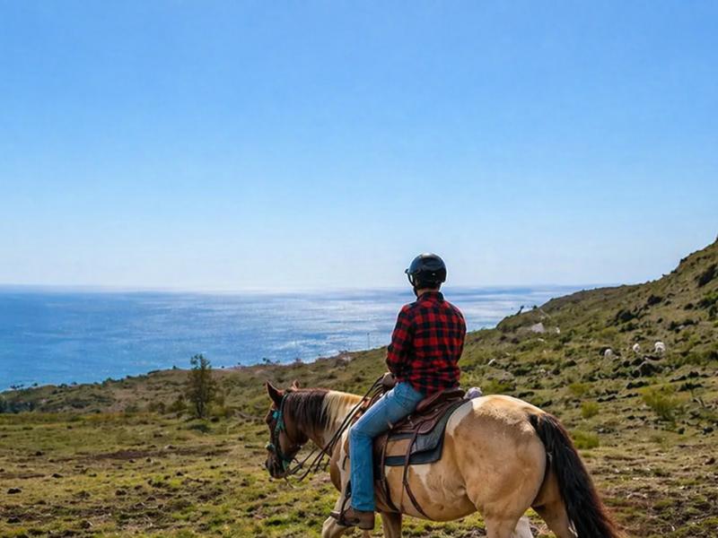Horseback Riding in Hawaii – Scenic Kauai Trail Adventure