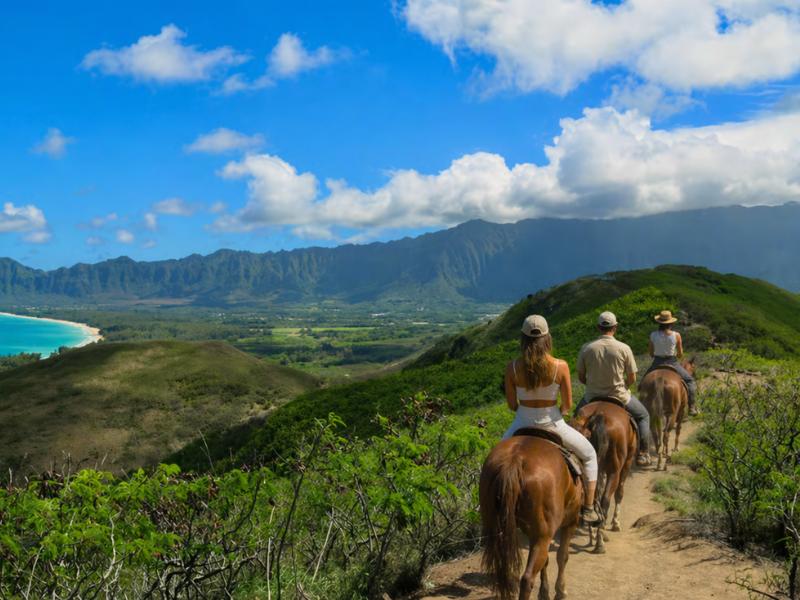 Kauai Sunlit Shores & Scenic Trails Horseback Adventure